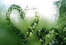 鲁迪-加西亚：卢卡库对团队很重要；比利时能成为伟大的球队.