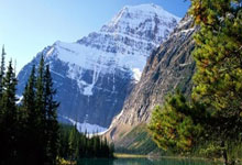 万博体育官网：辽宁男篮拒绝爆冷！击败山东队，杨鸣全力出击，CCTV5直播.