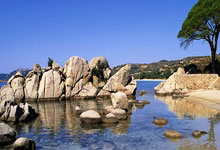 万博体育官网：辽宁男篮拒绝爆冷！击败山东队，杨鸣全力出击，CCTV5直播.